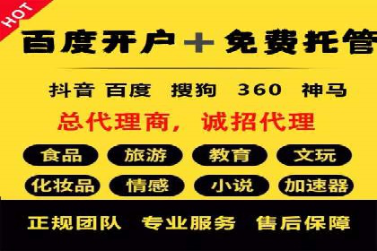 成功案例：百度推广代理助力电商突破